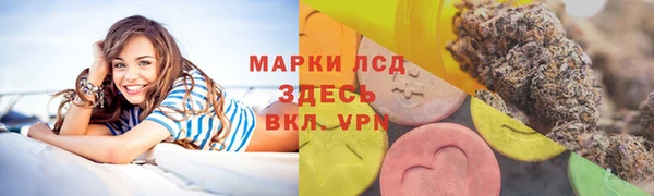 ГАЛЛЮЦИНОГЕННЫЕ ГРИБЫ Тутаев