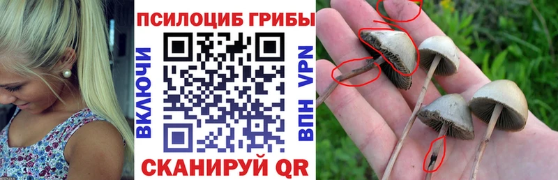 Галлюциногенные грибы MAGIC MUSHROOMS  Киреевск 